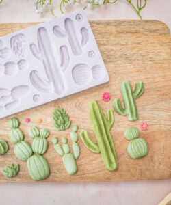 Karen Davies Siliconen Mal – Cactus Garden
