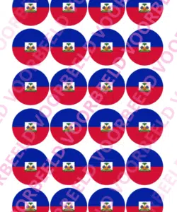 Eetbare Cupcakeprint WK Haïti – 24 cupcake rondjes