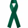 Lint per meter 1,5 cm breed - groen bij cake, bake & love 4 Lint per meter 1,5 cm breed - groen bij cake, bake & love 3