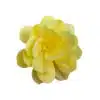 Premium wafer flower - yellow camelia - 1 stuks bij cake, bake & love 4 Premium wafer flower - yellow camelia - 1 stuks bij cake, bake & love 3