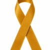 Lint per meter 1,5 cm breed - ocher bij cake, bake & love 2 Lint per meter 1,5 cm breed - ocher bij cake, bake & love 1