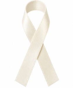 Lint per meter 1,5 cm breed - Ivoor