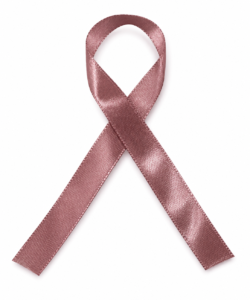 Lint per meter 1,5 cm breed - Mauve/Paars