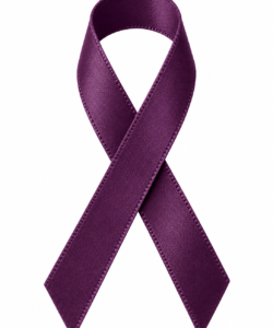 Lint per meter 1,5 cm breed - Aubergine/Paars