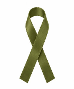 Lint per meter 1,5 cm breed - Olive /Groen