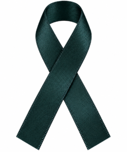 Lint per meter 1,5 cm breed - Teal